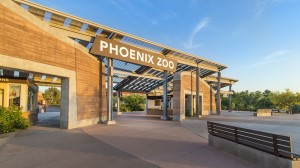 Phoenix Zoo